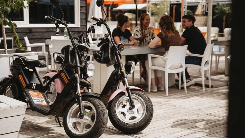 Four Seasons E Chopper Leusden